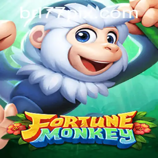 BRL77 Casino App